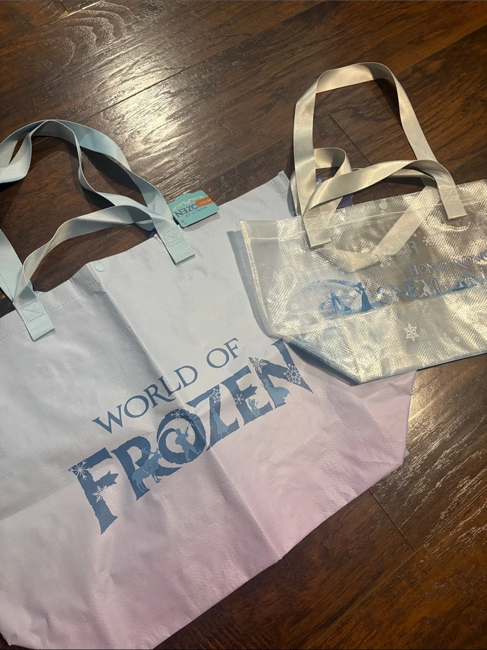 Disneyland Hong Kong Exclusive FROZEN Set of 2 reusable bags (1 small, 1 large)
